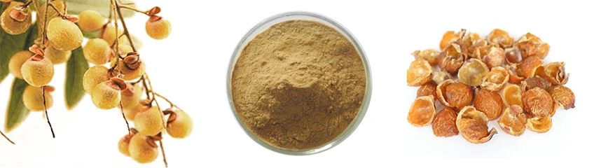 Chinese Soapberry Seed extract